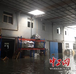 杜鵑 過境 寧波鄞州工會積極打響抗臺排澇保衛(wèi)戰(zhàn)