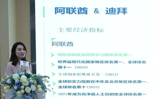 創意出海 文化遠航——深圳福田與阿聯酋經貿合作交流會暨數字創意產業對接會成功舉辦